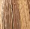 hair color swatch